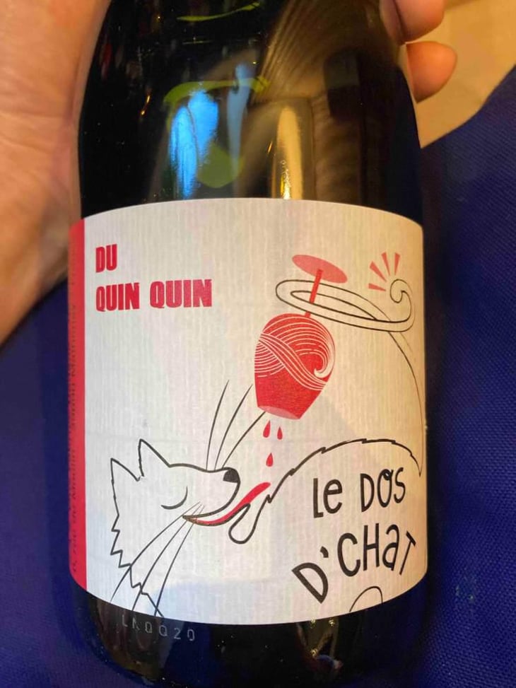 Le Dos D’Chat Rouge - Domaine de Saint Pierre - Fabrice Dodane 