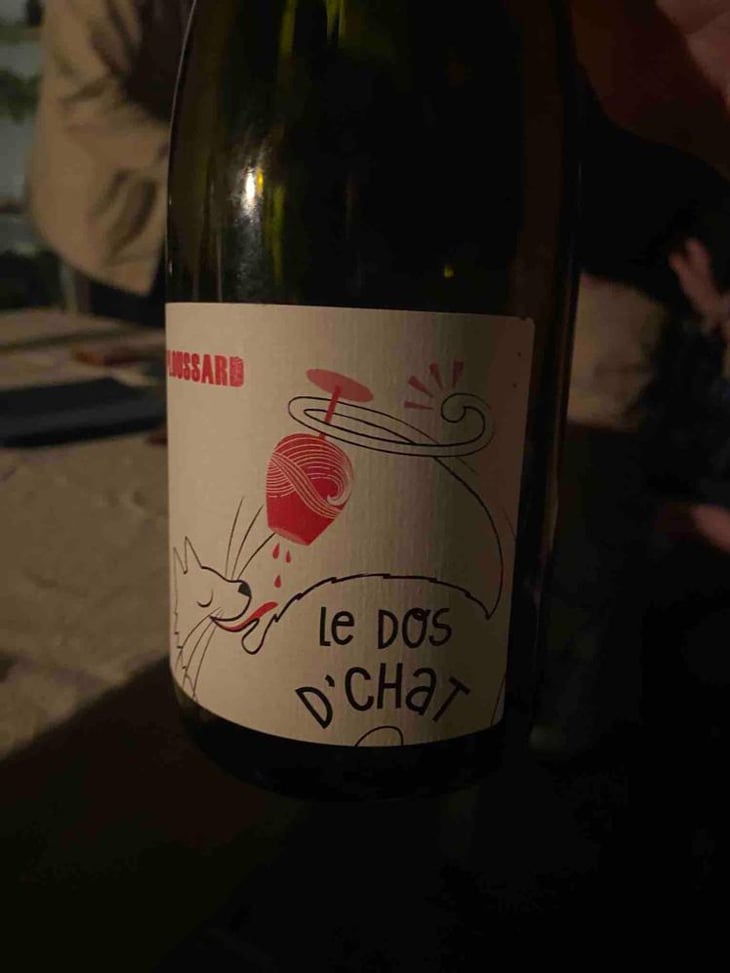 Le Dos D’Chat Rouge - Domaine de Saint Pierre - Fabrice Dodane 