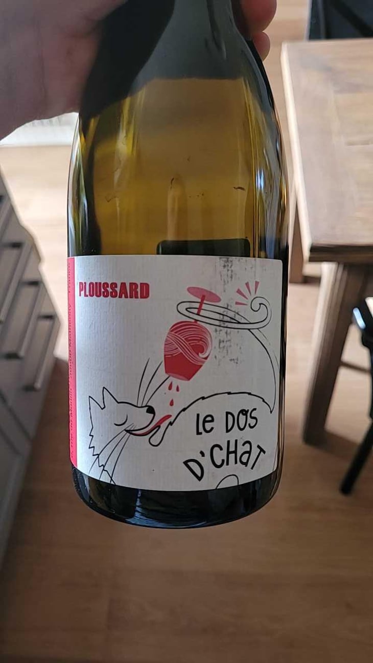 Le Dos D’Chat Rouge - Domaine de Saint Pierre - Fabrice Dodane 
