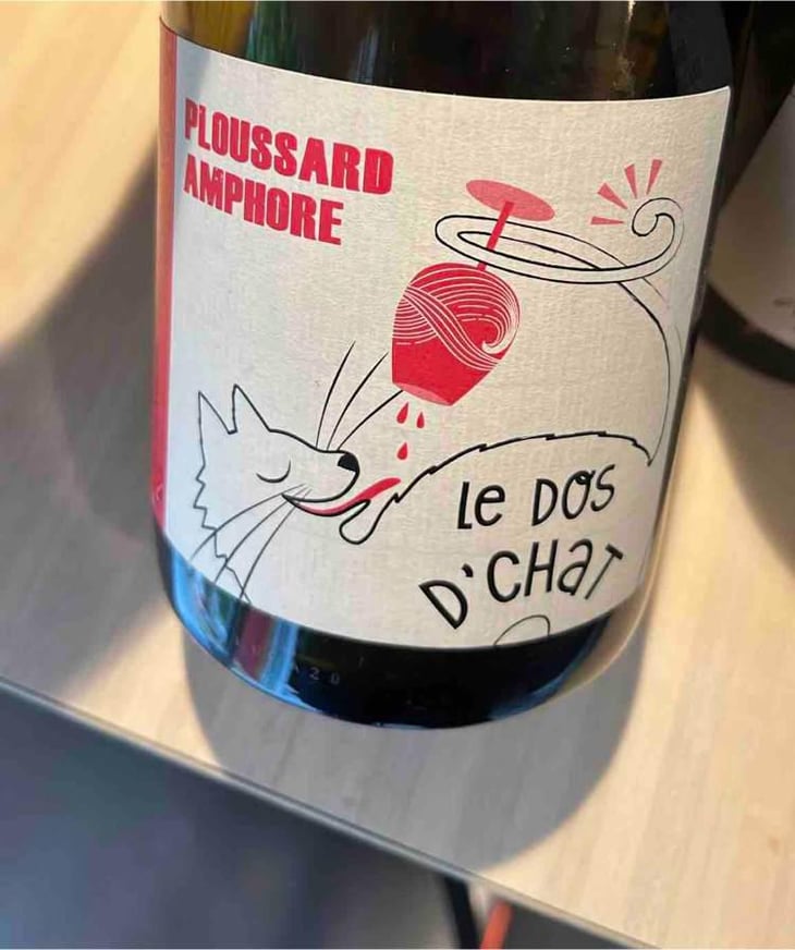 Le Dos D’Chat Rouge - Domaine de Saint Pierre - Fabrice Dodane 