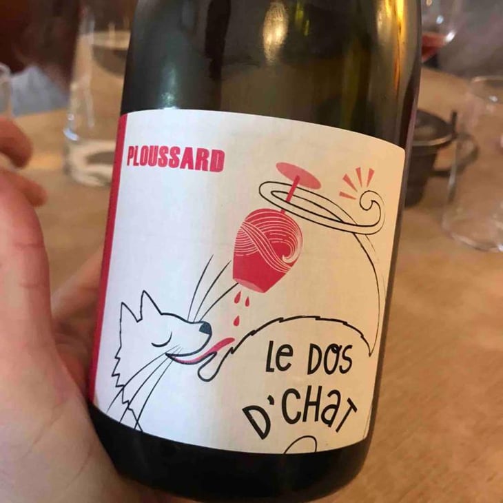 Le Dos D’Chat Rouge - Domaine de Saint Pierre - Fabrice Dodane 