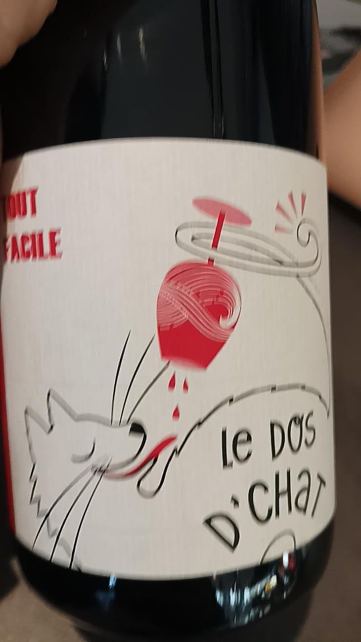 Le Dos D’Chat Rouge - Domaine de Saint Pierre - Fabrice Dodane 