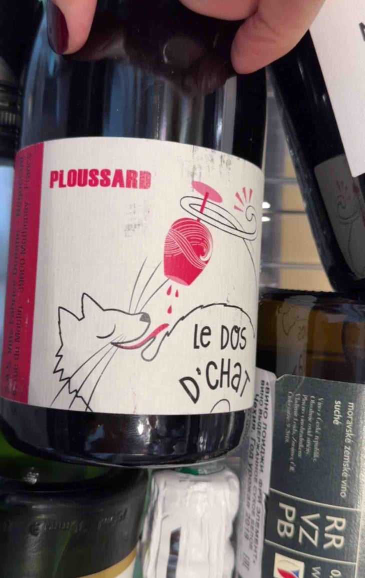 Le Dos D’Chat Rouge - Domaine de Saint Pierre - Fabrice Dodane 