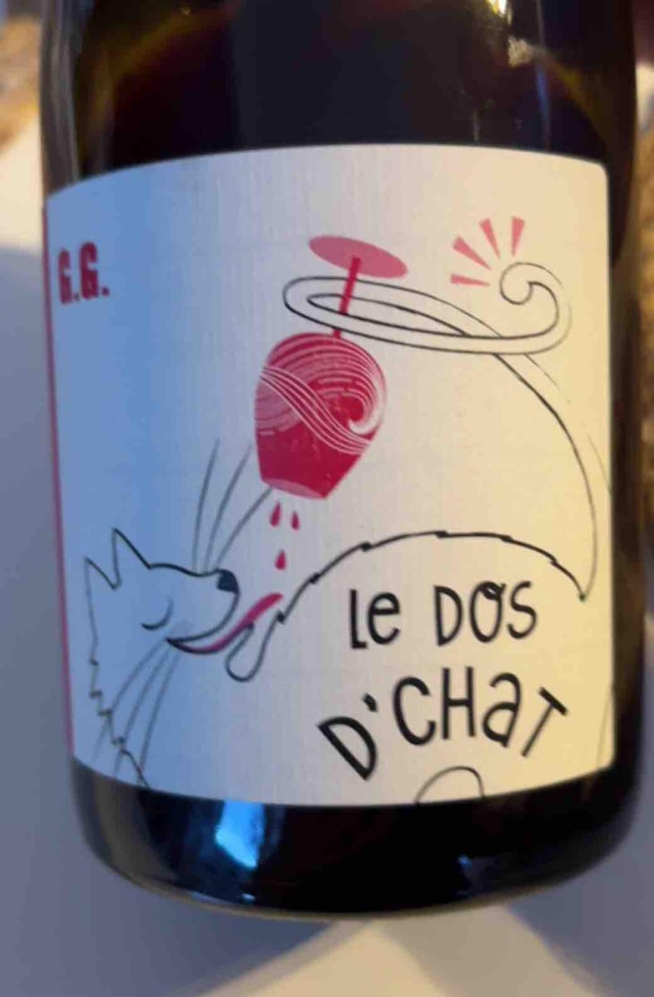 Le Dos D’Chat Rouge - Domaine de Saint Pierre - Fabrice Dodane 
