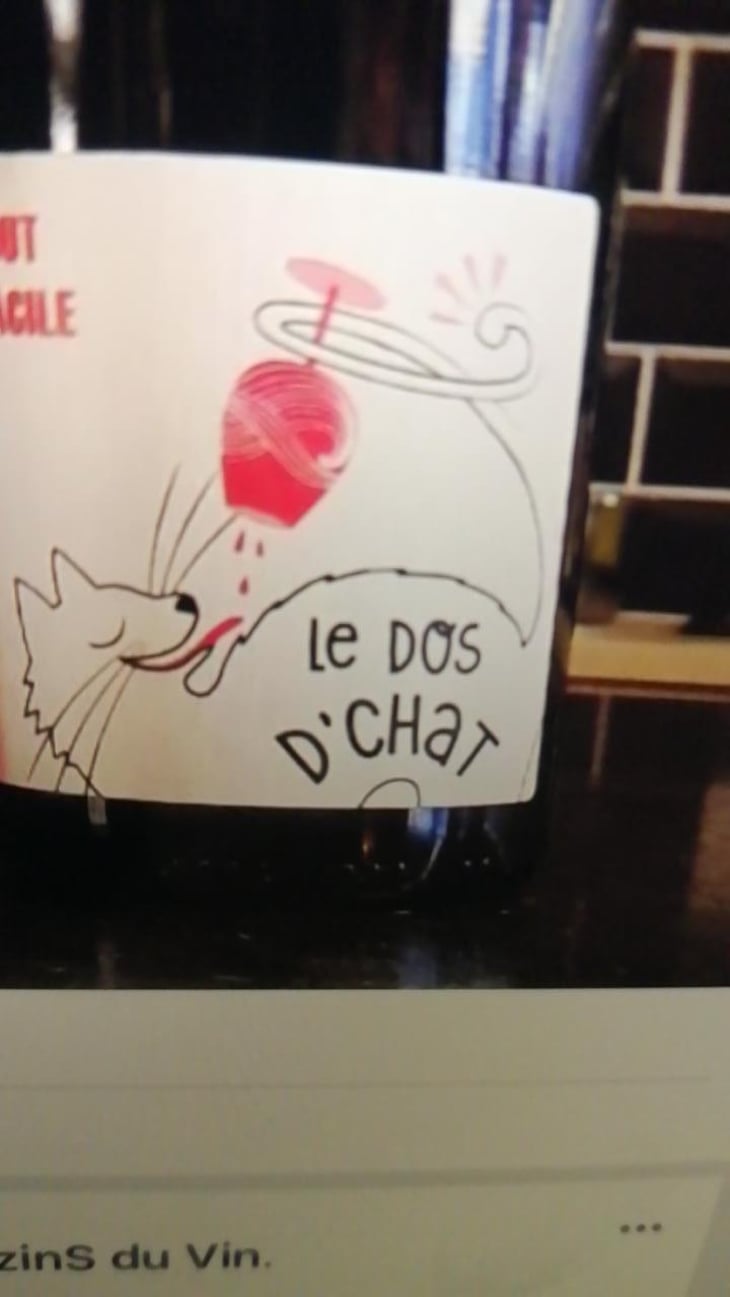 Le Dos D’Chat Rouge - Domaine de Saint Pierre - Fabrice Dodane 