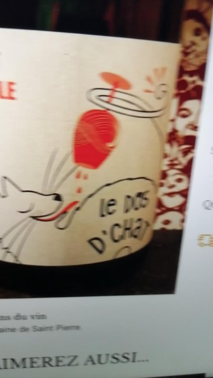 Le Dos D’Chat Rouge - Domaine de Saint Pierre - Fabrice Dodane 