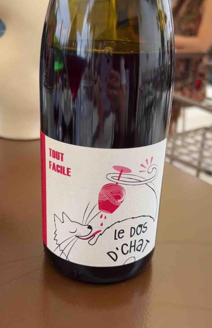 Le Dos D’Chat Rouge - Domaine de Saint Pierre - Fabrice Dodane 