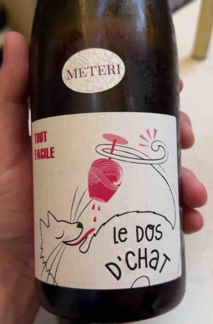 Le Dos D’Chat Rouge - Domaine de Saint Pierre - Fabrice Dodane 