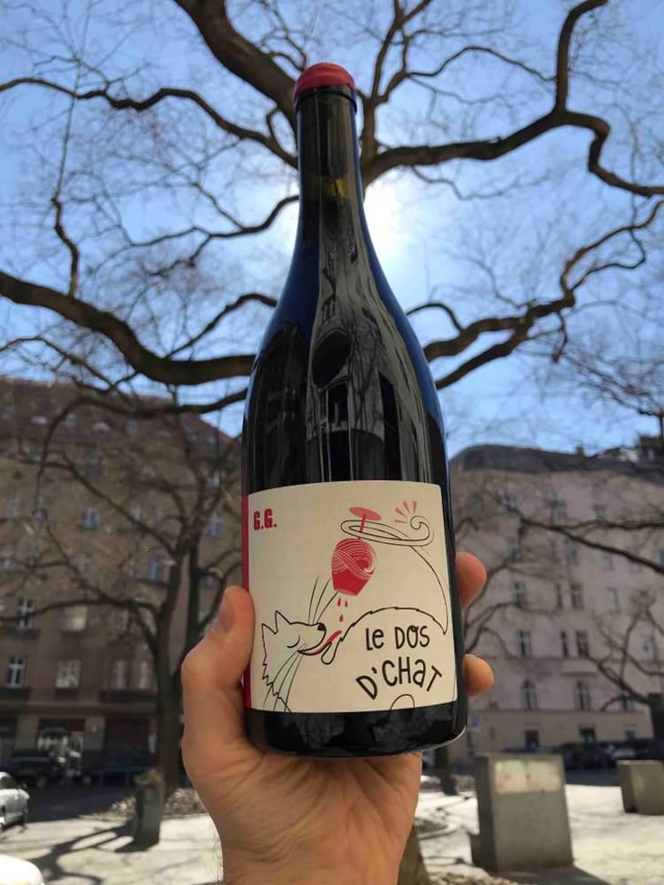 Le Dos D’Chat Rouge - Domaine de Saint Pierre - Fabrice Dodane 
