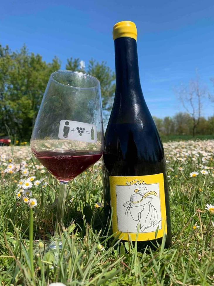 Le Farfelu - Domaine Terres D'Esclans - Agathe & Fabrice Raymond 