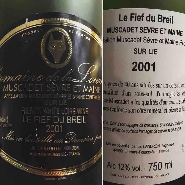 Le Fief du Breil - Domaine Jo Landron - Jo Landron 