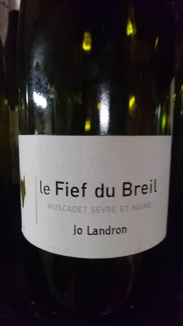 Le Fief du Breil - Domaine Jo Landron - Jo Landron 