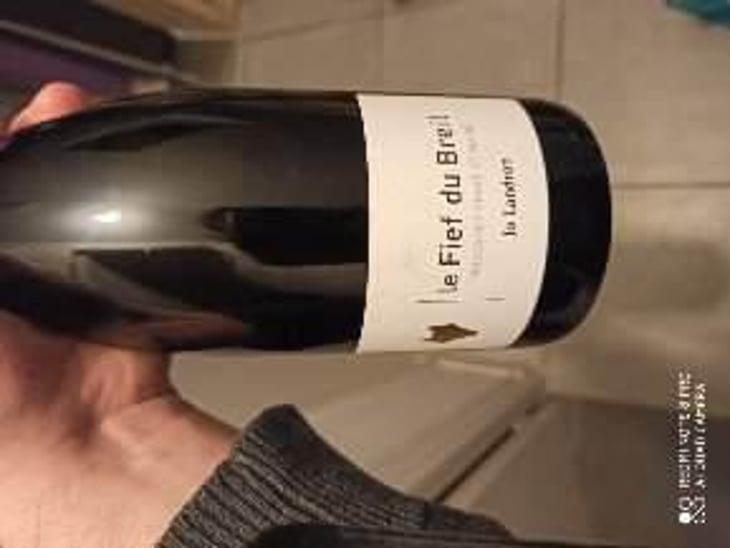Le Fief du Breil - Domaine Jo Landron - Jo Landron 