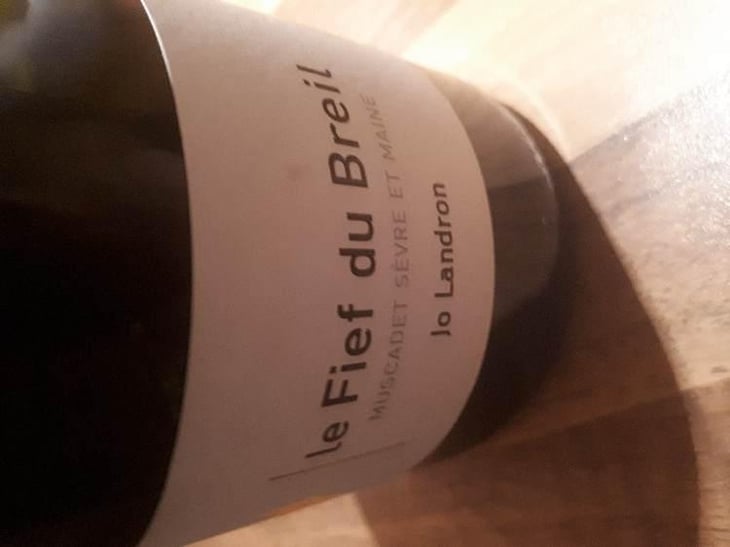 Le Fief du Breil - Domaine Jo Landron - Jo Landron 