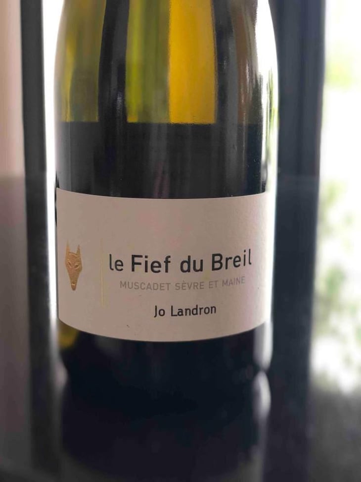 Le Fief du Breil - Domaine Jo Landron - Jo Landron 