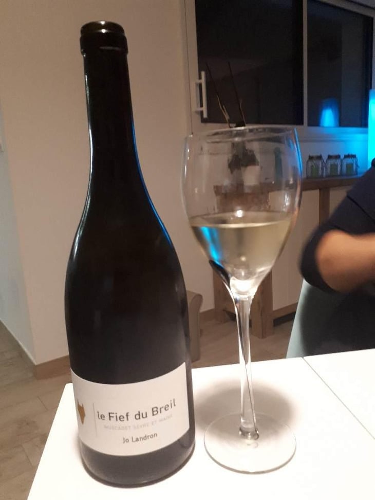 Le Fief du Breil - Domaine Jo Landron - Jo Landron 