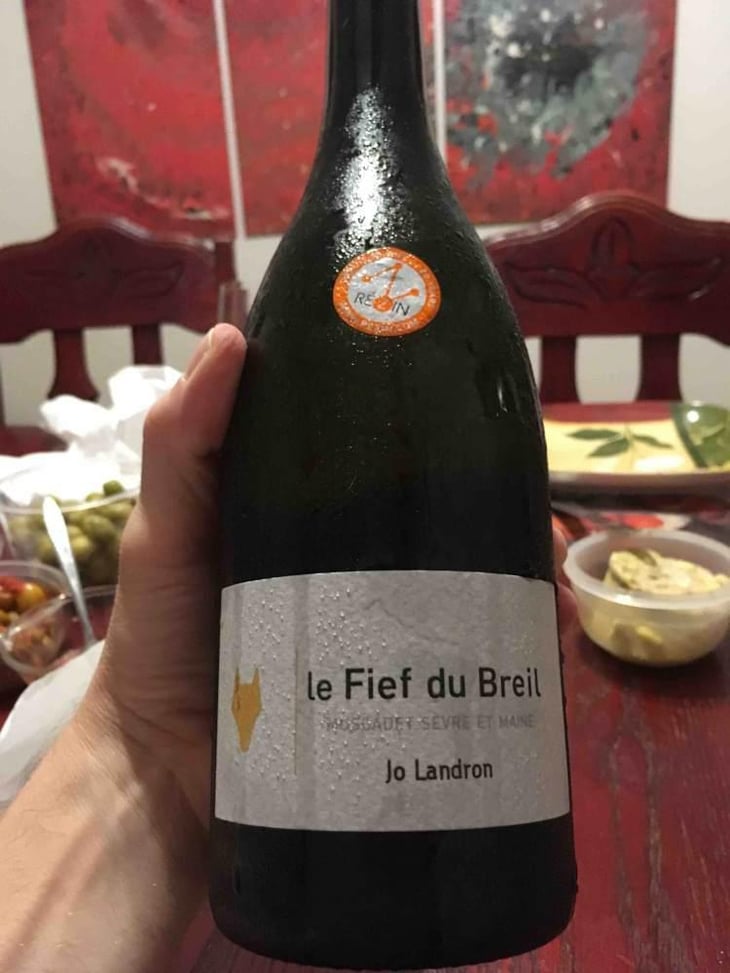 Le Fief du Breil - Domaine Jo Landron - Jo Landron 