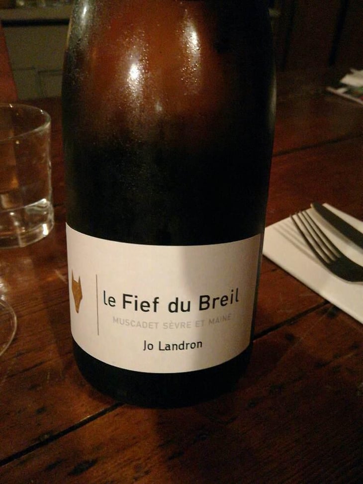 Le Fief du Breil - Domaine Jo Landron - Jo Landron 