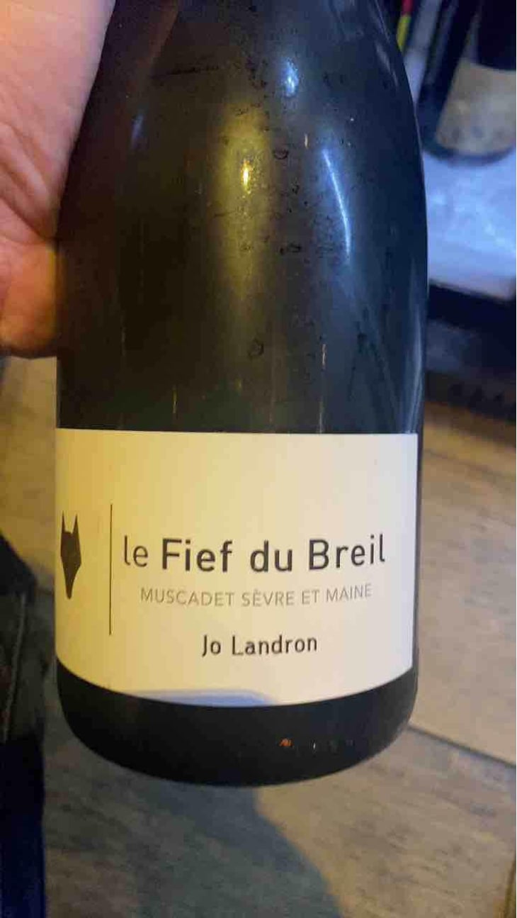 Le Fief du Breil - Domaine Jo Landron - Jo Landron 