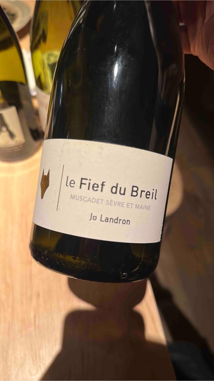 Le Fief du Breil - Domaine Jo Landron - Jo Landron 