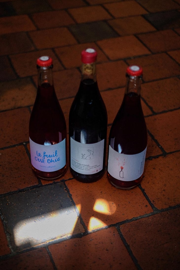 Le Fruit c'est Chic Tutti Frutti - Lapins Des Vignes - Raphaël Beysang & Emélie Hurtubise 