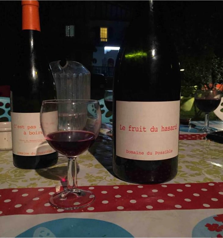 Le Fruit du Hasard - Domaine du Possible - Loïc Roure 