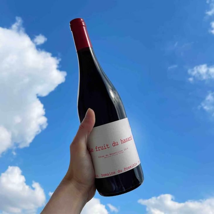 Le Fruit du Hasard - Domaine du Possible - Loïc Roure 