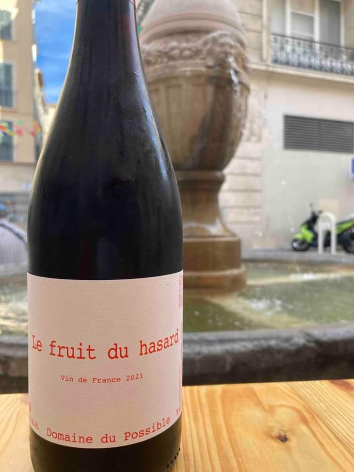 Le Fruit du Hasard - Domaine du Possible - Loïc Roure 