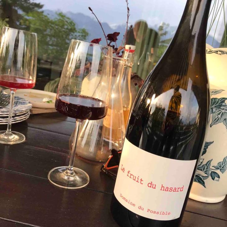 Le Fruit du Hasard - Domaine du Possible - Loïc Roure 