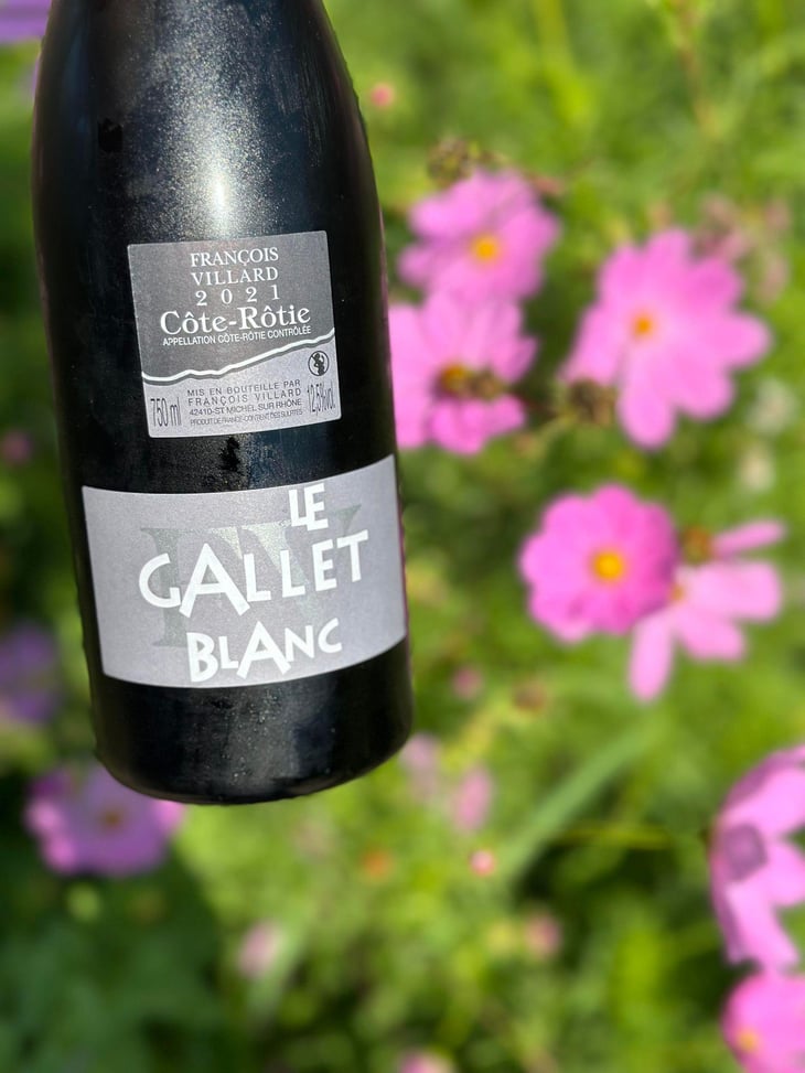 Le gallet Blanc - François Villard - François Villard -2019