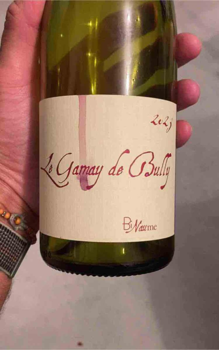 le gamay de bully - Domaine Henri Naudin-Ferrand - Claire Naudin -2023