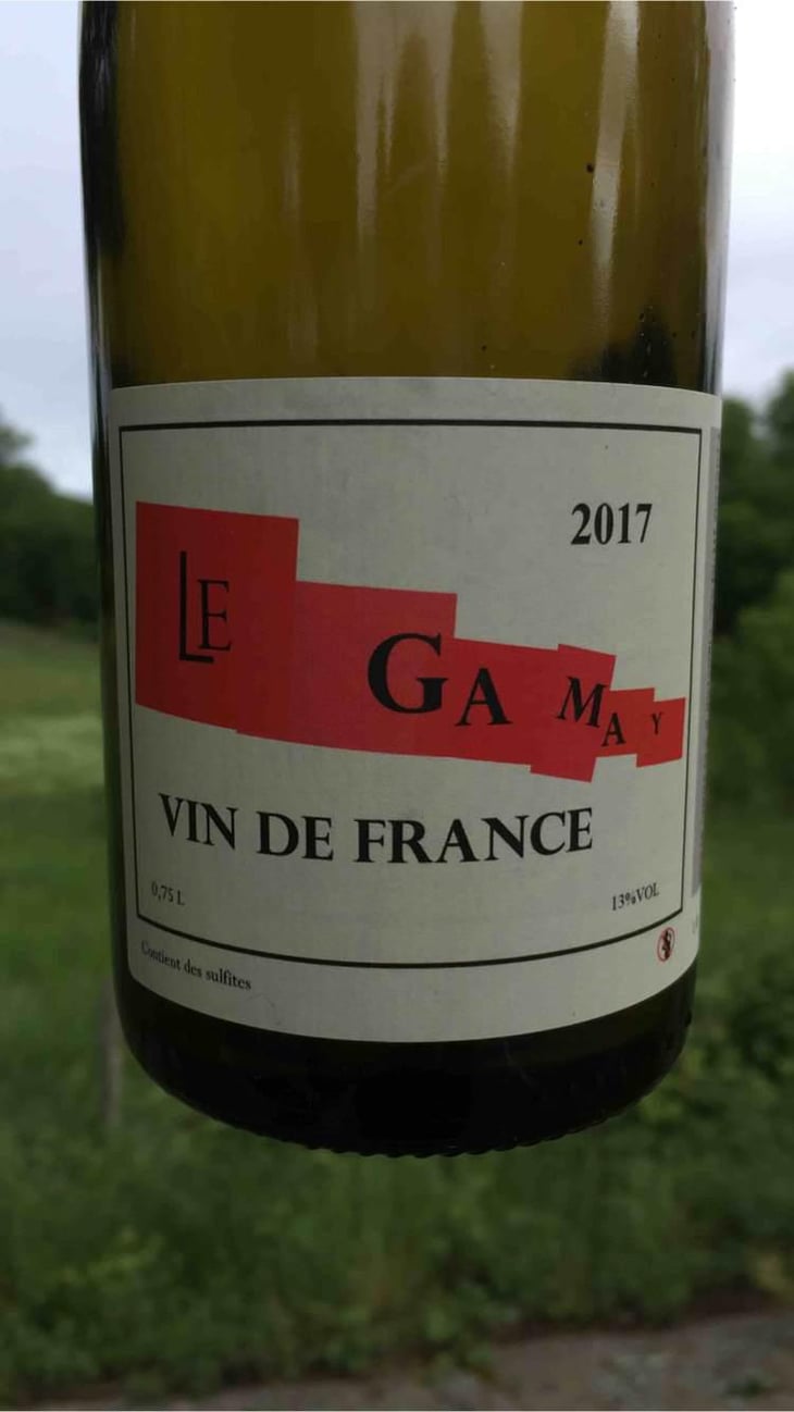 Le Gamay - François Dumas - François Dumas 