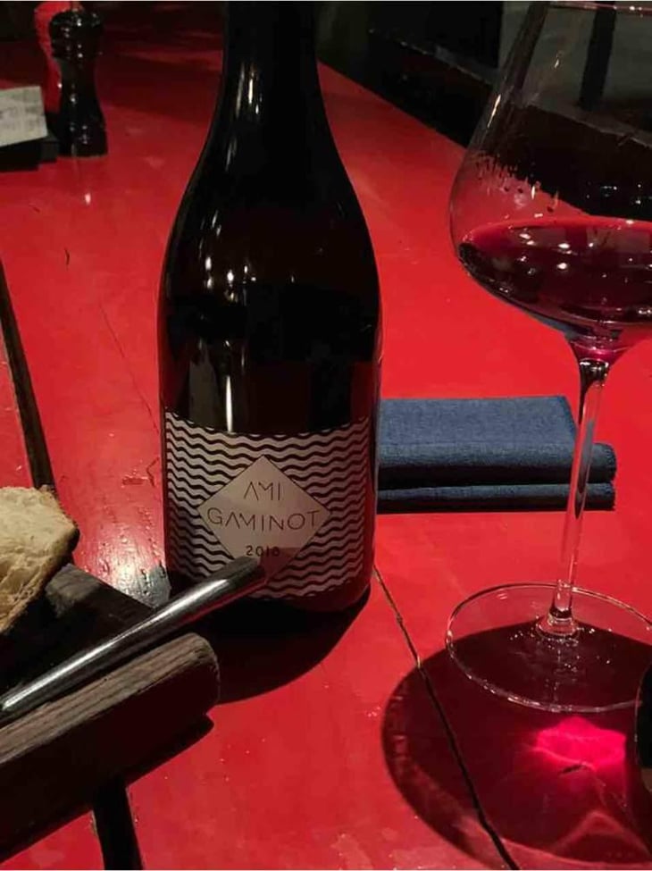 Le Gaminot - Domaine Ami - Paul Marchand-Perarnau & Willy Roulendes 