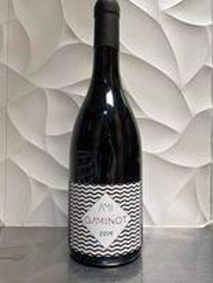 Le Gaminot - Domaine Ami - Paul Marchand-Perarnau & Willy Roulendes 