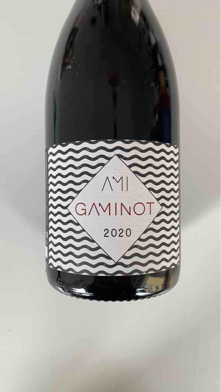 Le Gaminot - Domaine Ami - Paul Marchand-Perarnau & Willy Roulendes 