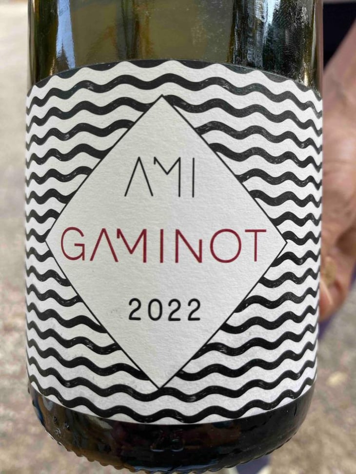 Le Gaminot - Domaine Ami - Paul Marchand-Perarnau & Willy Roulendes 