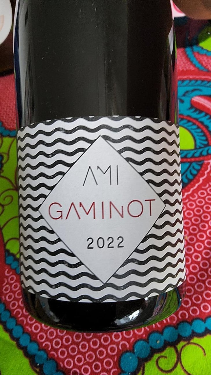 Le Gaminot - Domaine Ami - Paul Marchand-Perarnau & Willy Roulendes 