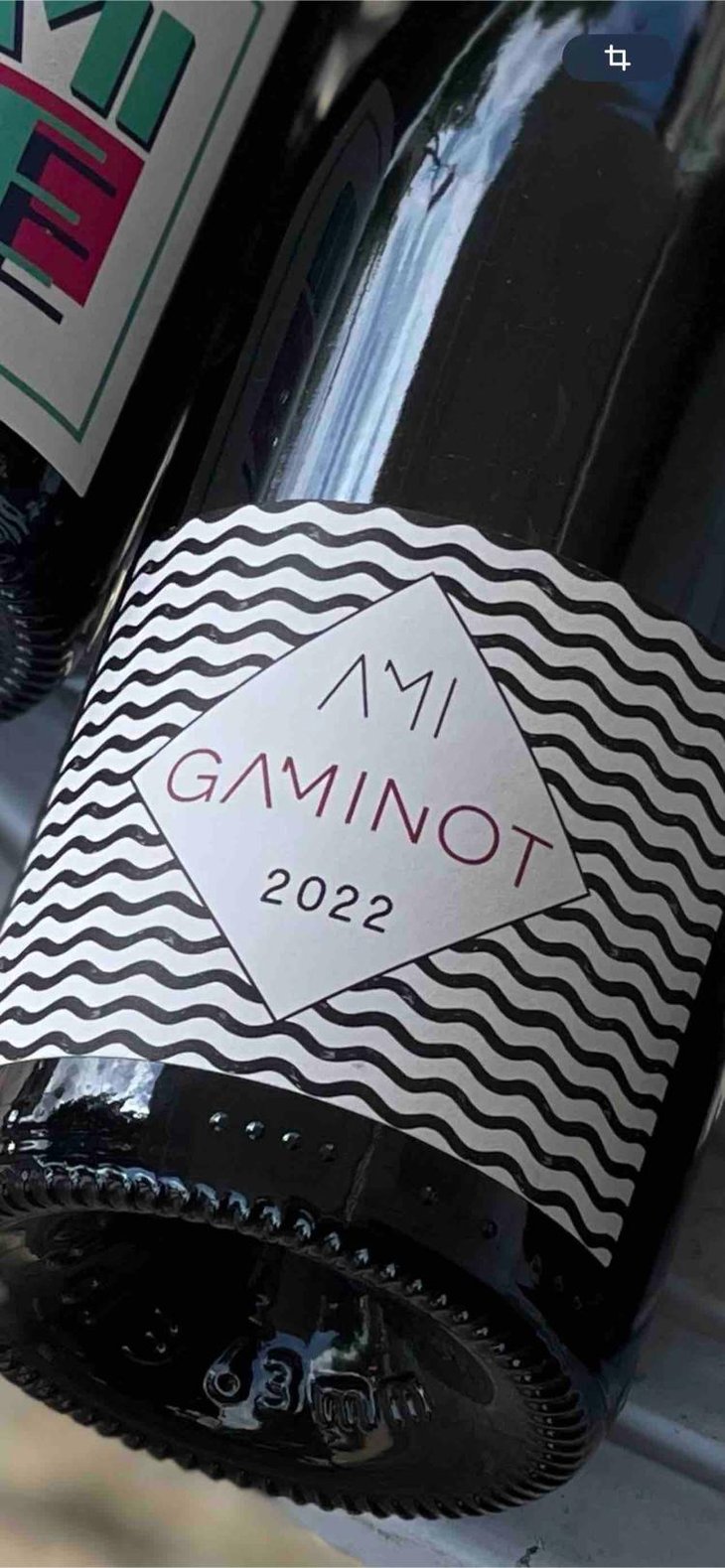 Le Gaminot - Domaine Ami - Paul Marchand-Perarnau & Willy Roulendes 