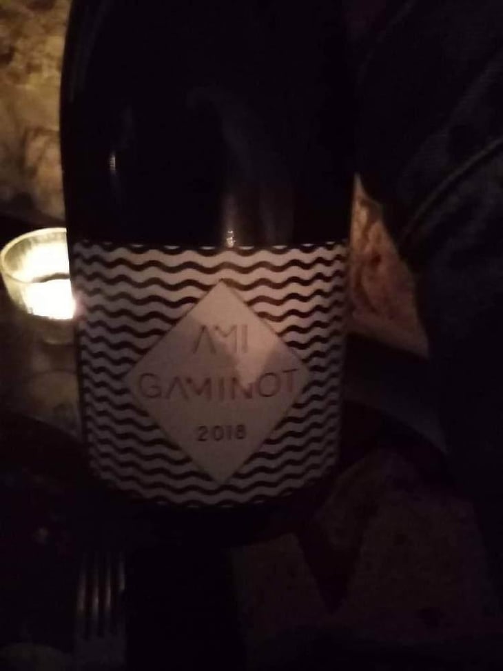 Le Gaminot - Domaine Ami - Paul Marchand-Perarnau & Willy Roulendes 