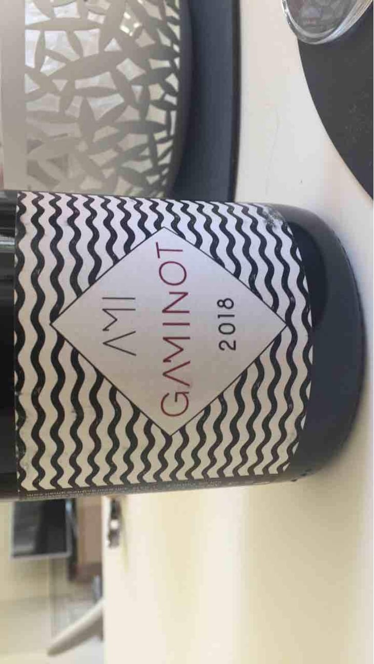 Le Gaminot - Domaine Ami - Paul Marchand-Perarnau & Willy Roulendes 