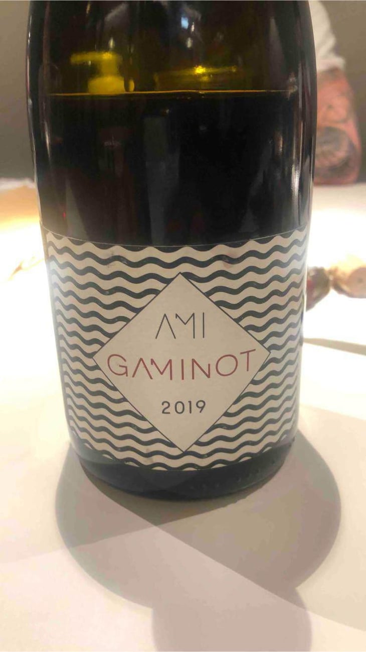 Le Gaminot - Domaine Ami - Paul Marchand-Perarnau & Willy Roulendes 