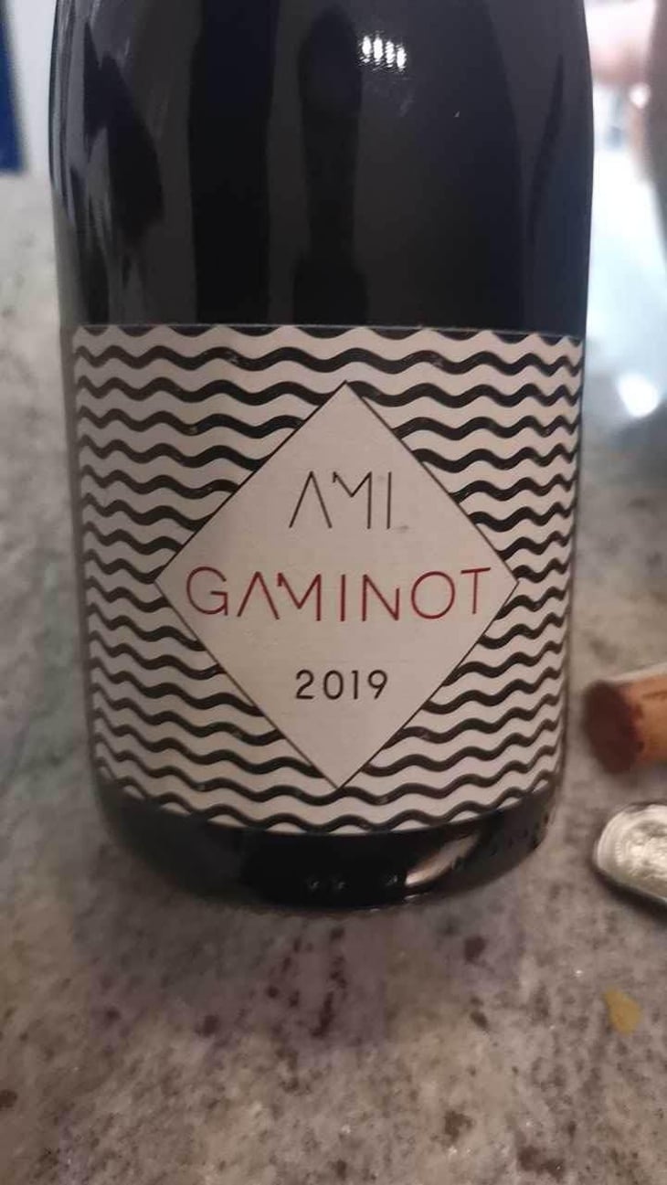 Le Gaminot - Domaine Ami - Paul Marchand-Perarnau & Willy Roulendes 