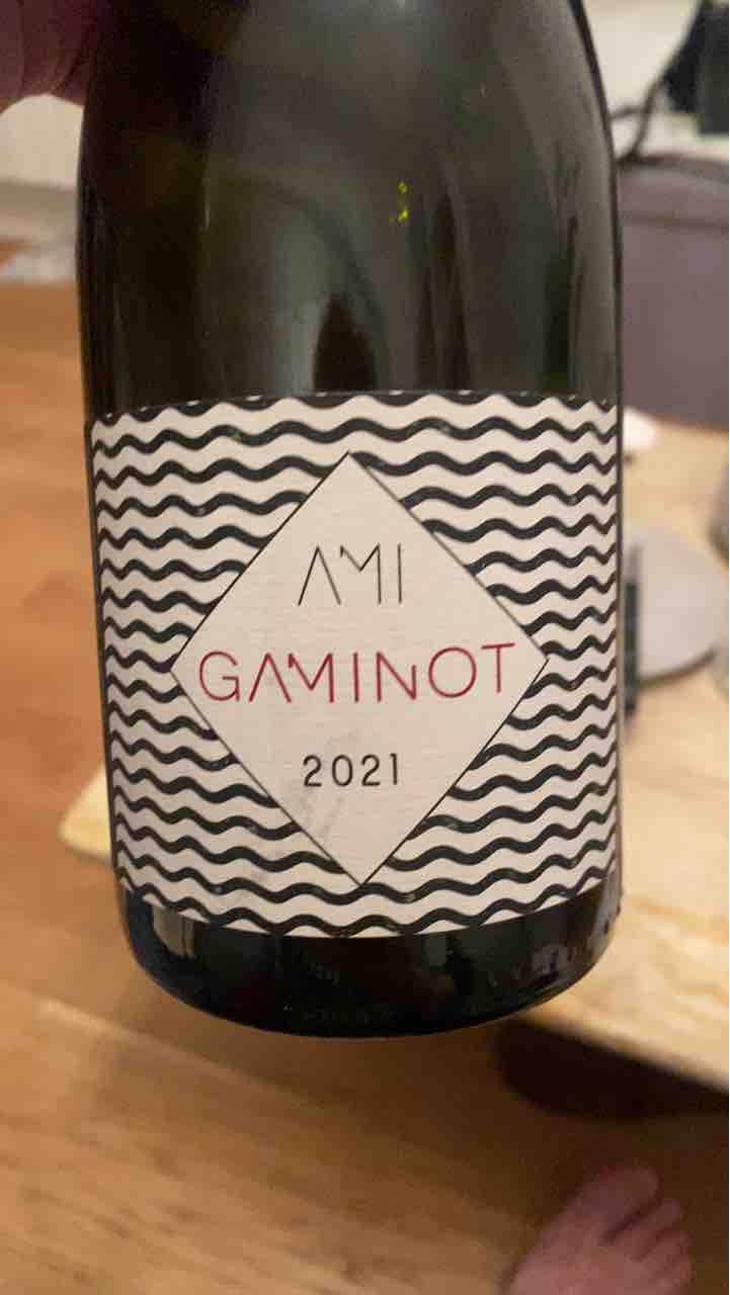 Le Gaminot - Domaine Ami - Paul Marchand-Perarnau & Willy Roulendes 