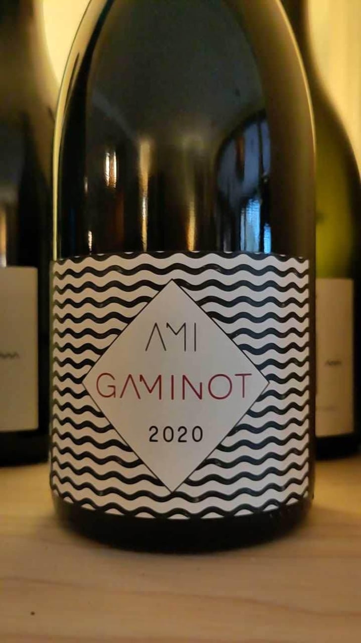 Le Gaminot - Domaine Ami - Paul Marchand-Perarnau & Willy Roulendes 