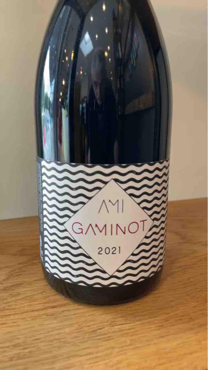 Le Gaminot - Domaine Ami - Paul Marchand-Perarnau & Willy Roulendes 