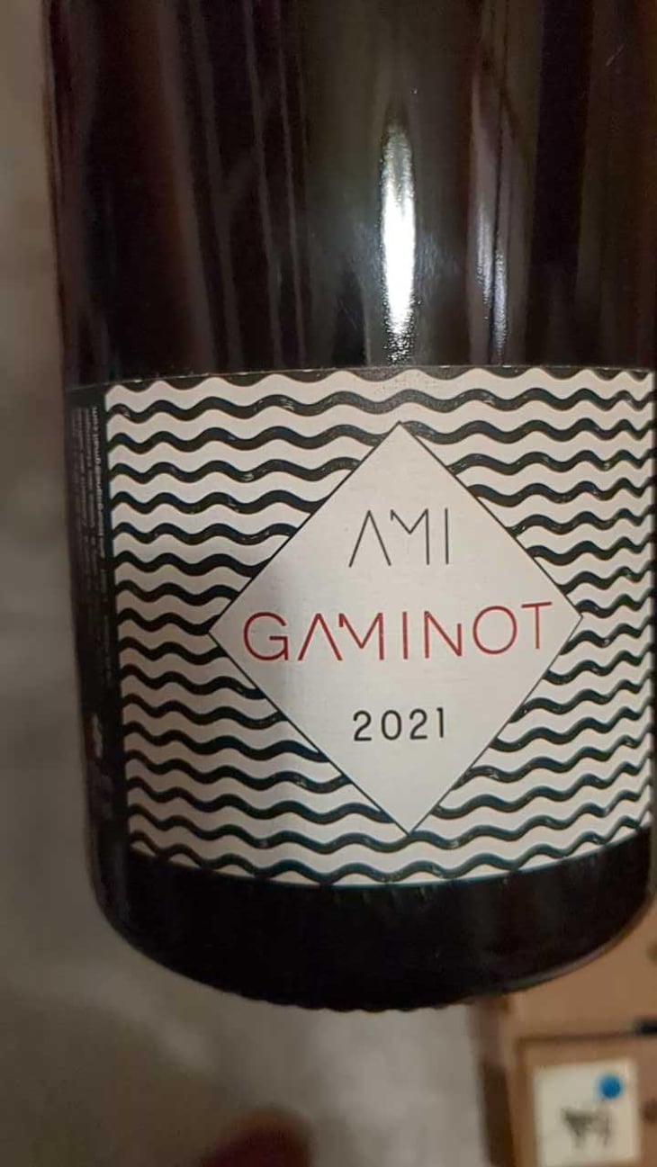 Le Gaminot - Domaine Ami - Paul Marchand-Perarnau & Willy Roulendes 