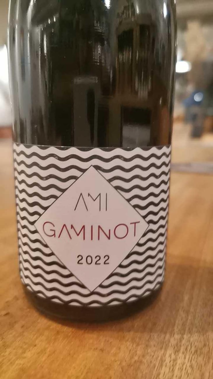 Le Gaminot - Domaine Ami - Paul Marchand-Perarnau & Willy Roulendes 