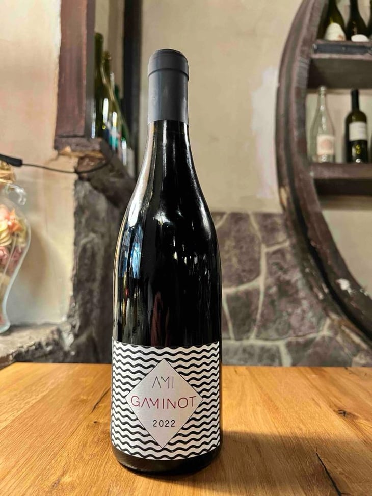 Le Gaminot - Domaine Ami - Paul Marchand-Perarnau & Willy Roulendes 