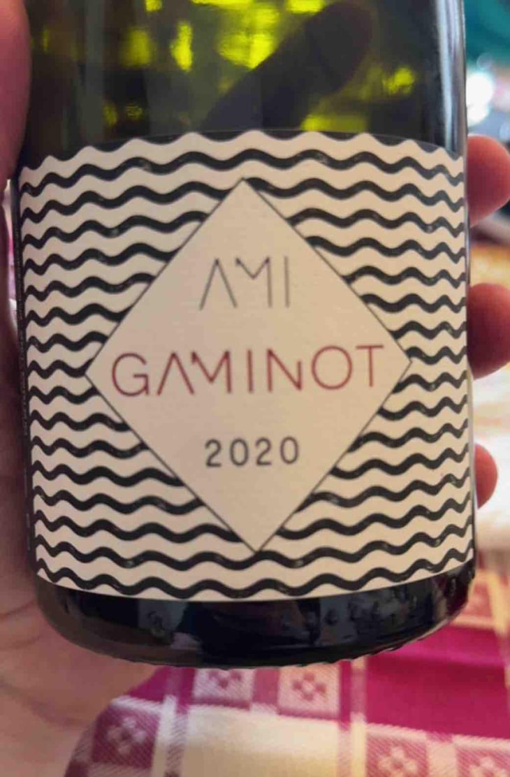 Le Gaminot - Domaine Ami - Paul Marchand-Perarnau & Willy Roulendes 