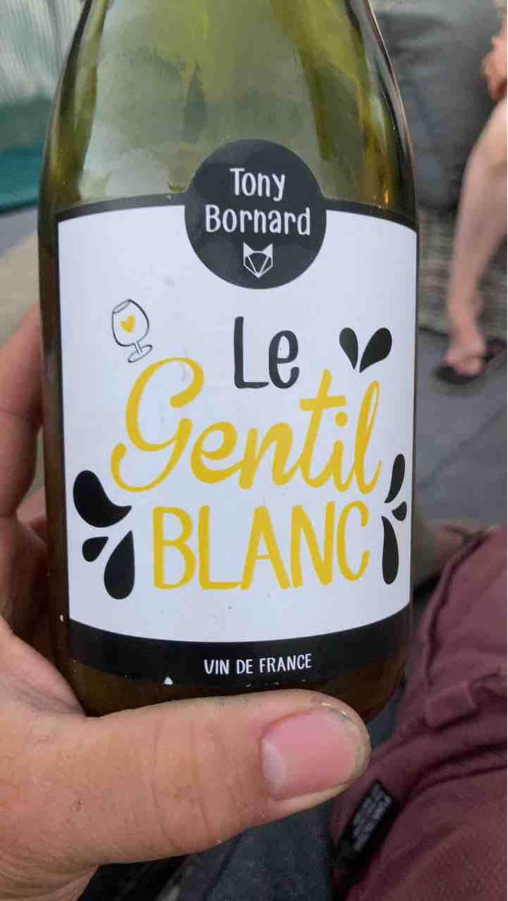 Le Gentil Blanc - Domaine Bornard - Tony Bornard 